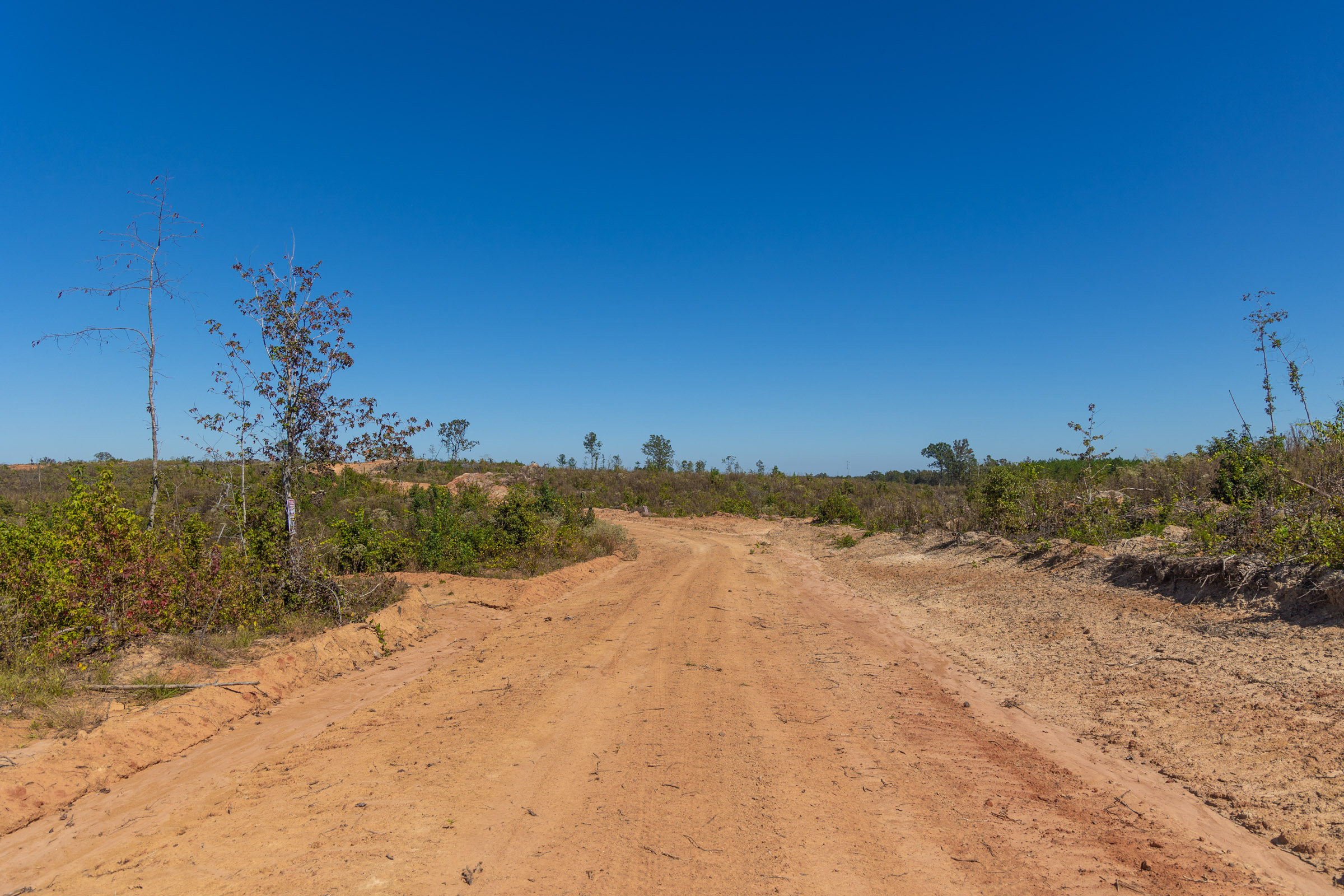 Tract 42 at Meyers Ridge in Attala County, Mississippi