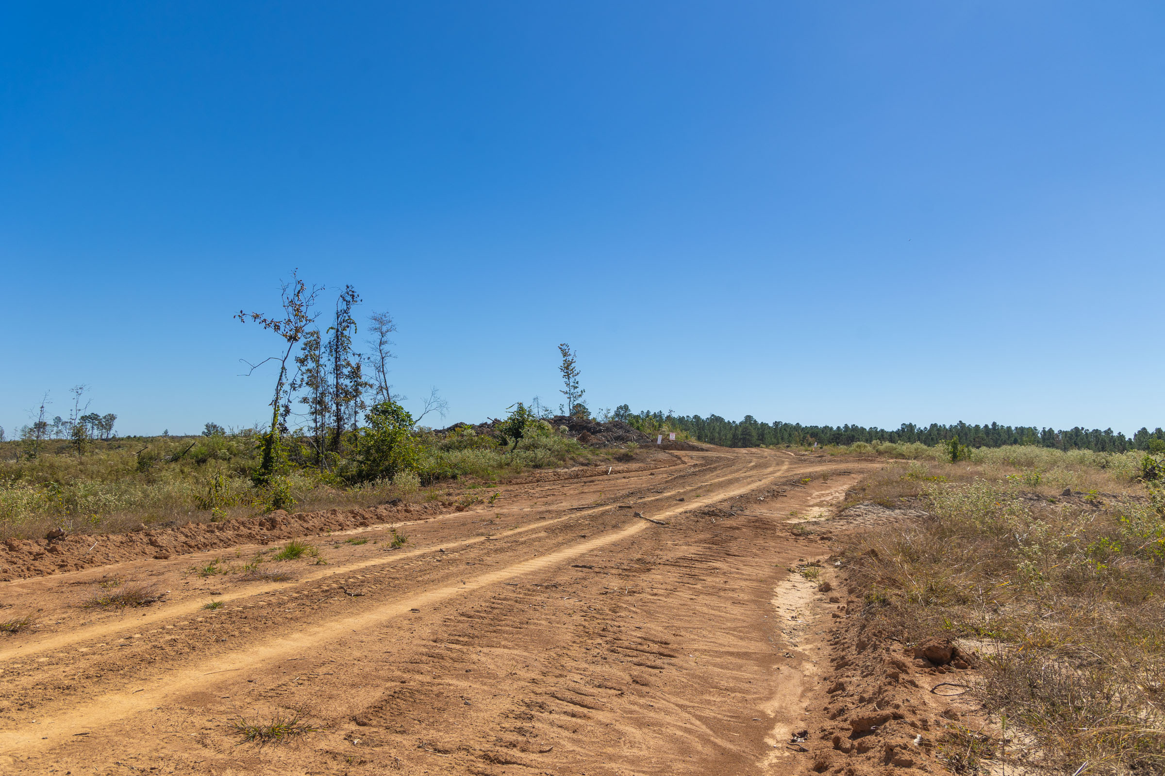 Tract 8 at Meyers Ridge in Attala County, Mississippi