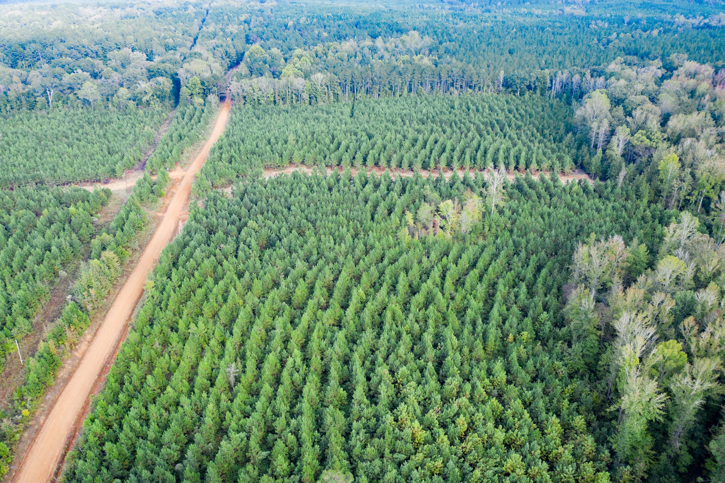 Tract 2 at Sky Ranch in Attala County, Mississippi