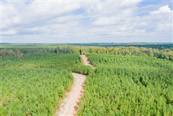 property photo for Sky Ranch Tract 4, 2.68 acres for sale in Attala County, Mississippi