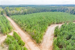 property photo for Sky Ranch Tract 4, 2.68 acres for sale in Attala County, Mississippi