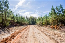 property photo for Sky Ranch Tract 4, 2.68 acres for sale in Attala County, Mississippi