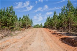 property photo for Sky Ranch Tract 4, 2.68 acres for sale in Attala County, Mississippi