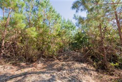 property photo for Sky Ranch Tract 4, 2.68 acres for sale in Attala County, Mississippi
