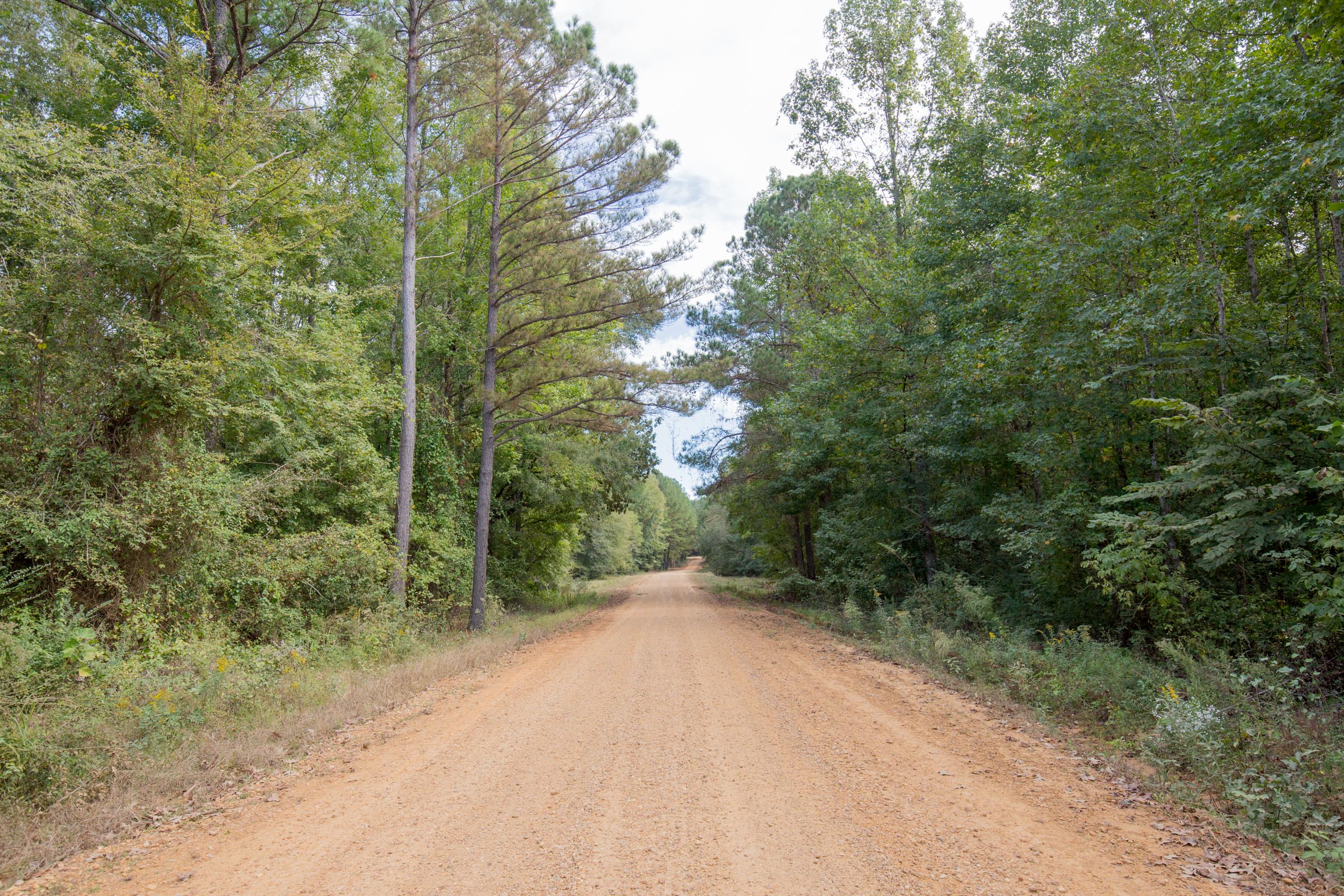 Tract 6 at Sky Ranch in Attala County, Mississippi